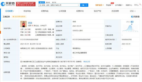 軟件銷售 數(shù)字時(shí)代的技術(shù)市場(chǎng)策略