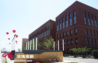 軟件企業(yè)337家領(lǐng)跑市場(chǎng)，濱海新區(qū)引領(lǐng)全市軟件外包服務(wù)新篇章
